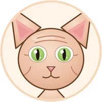 Sphynx cat