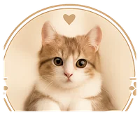 CatCorners