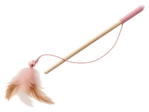 Cat Toys